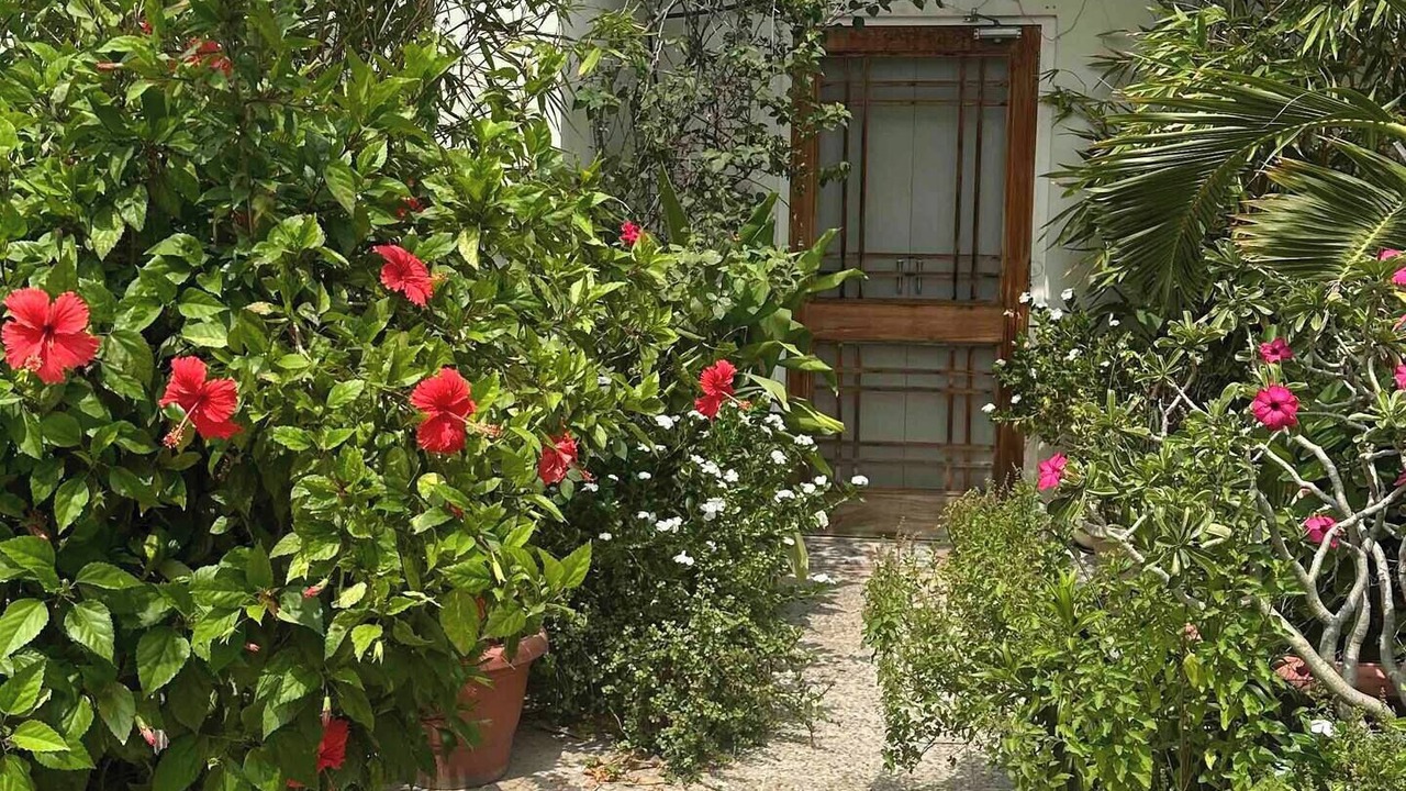 Photo of Outdoor in Jaipur