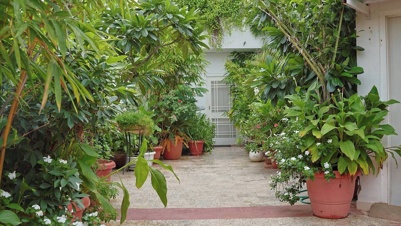 Photo of Outdoor in Jaipur
