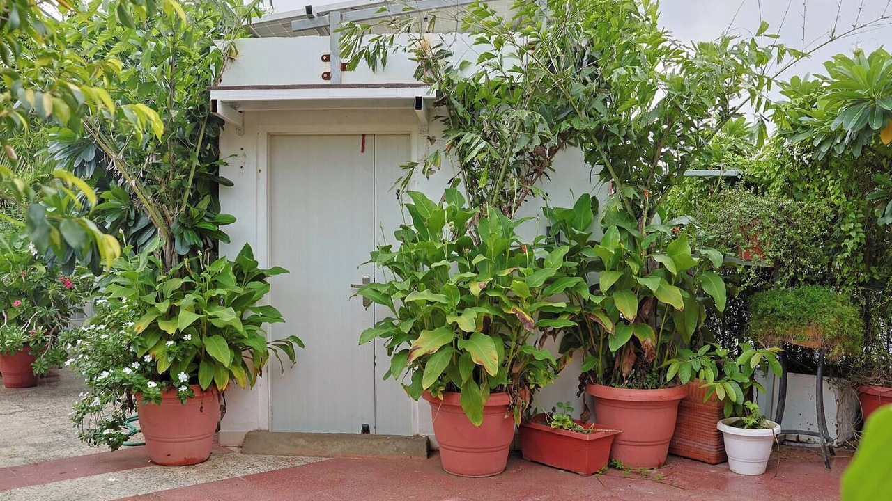 Photo of Outdoor in Jaipur