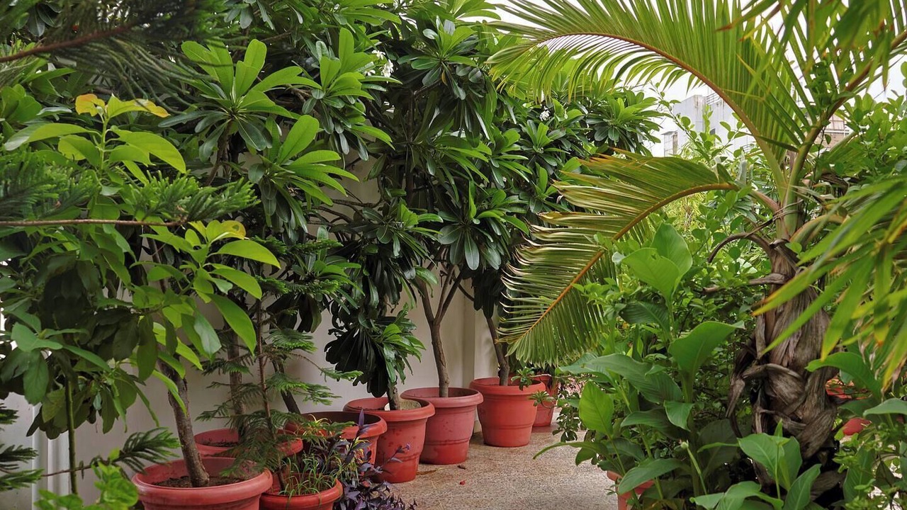 Photo of Outdoor in Jaipur
