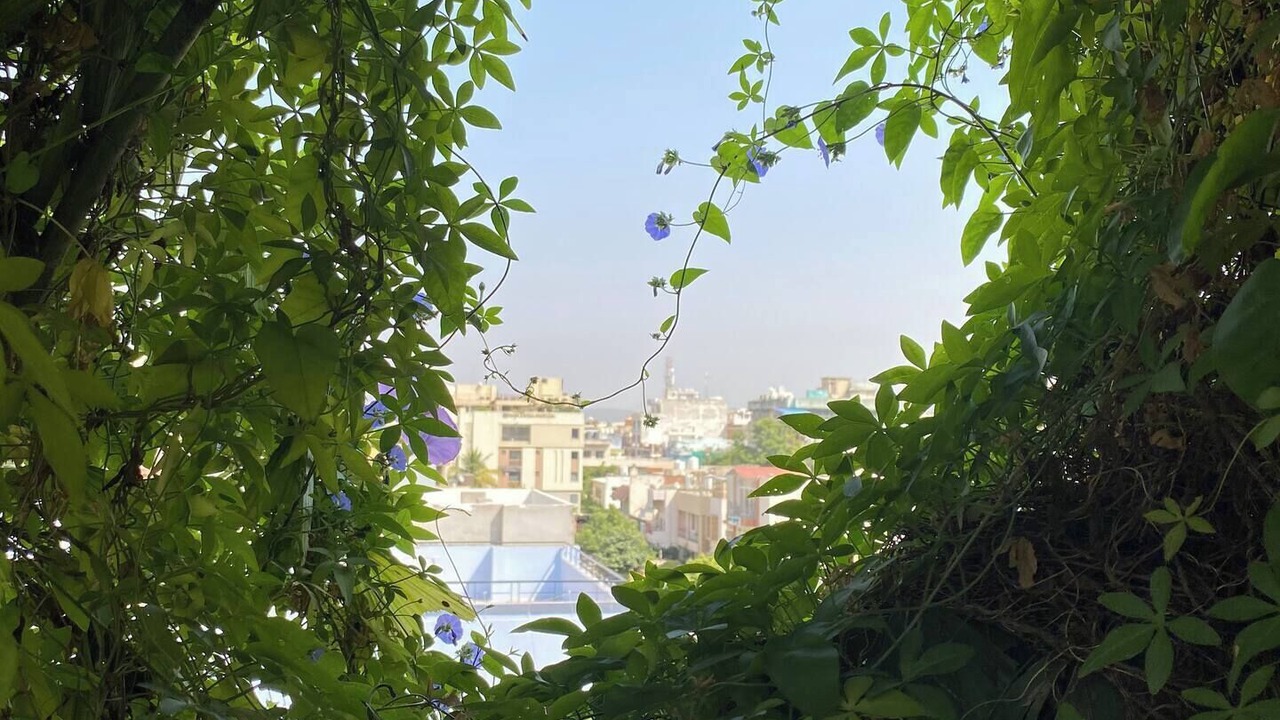 Photo of Outdoor in Jaipur