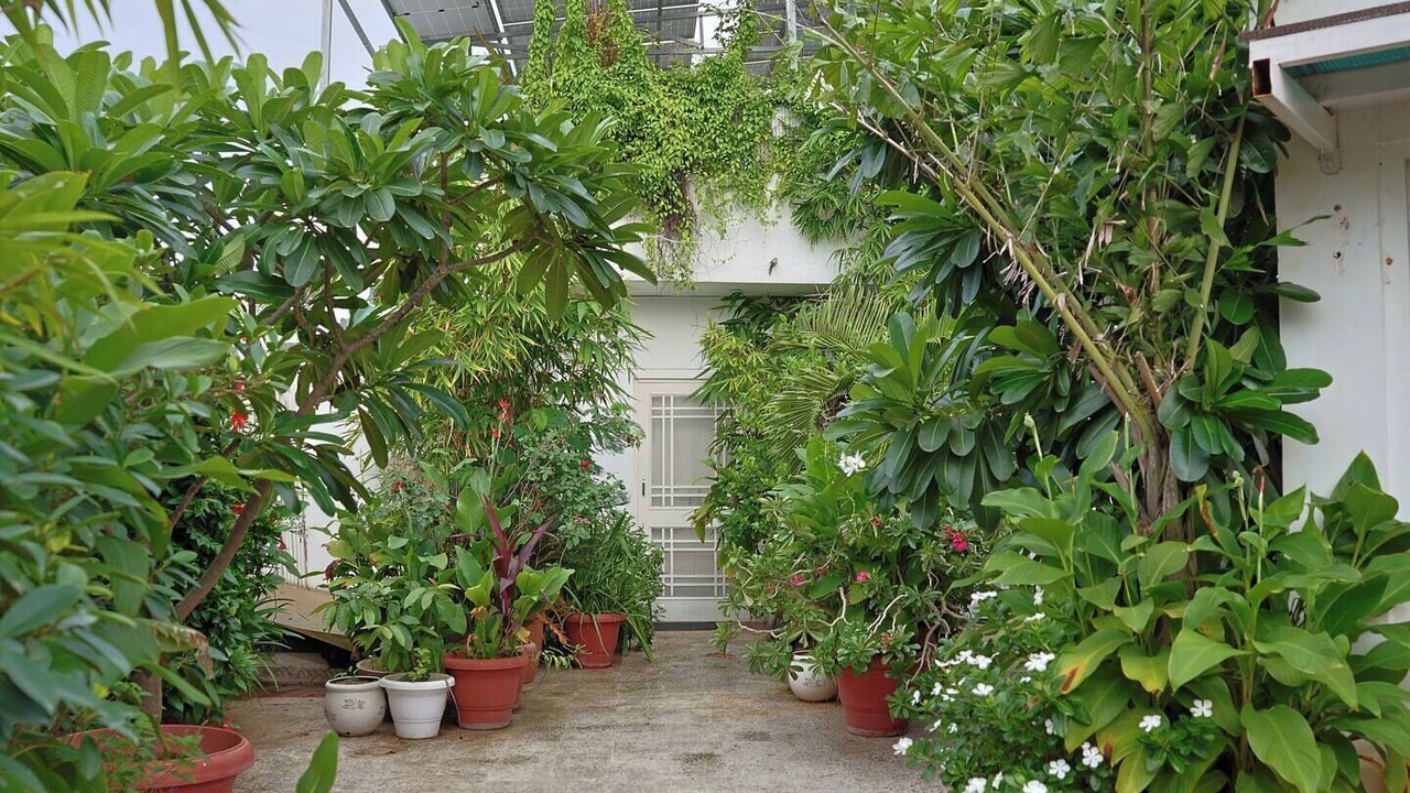 Photo of Outdoor in Jaipur