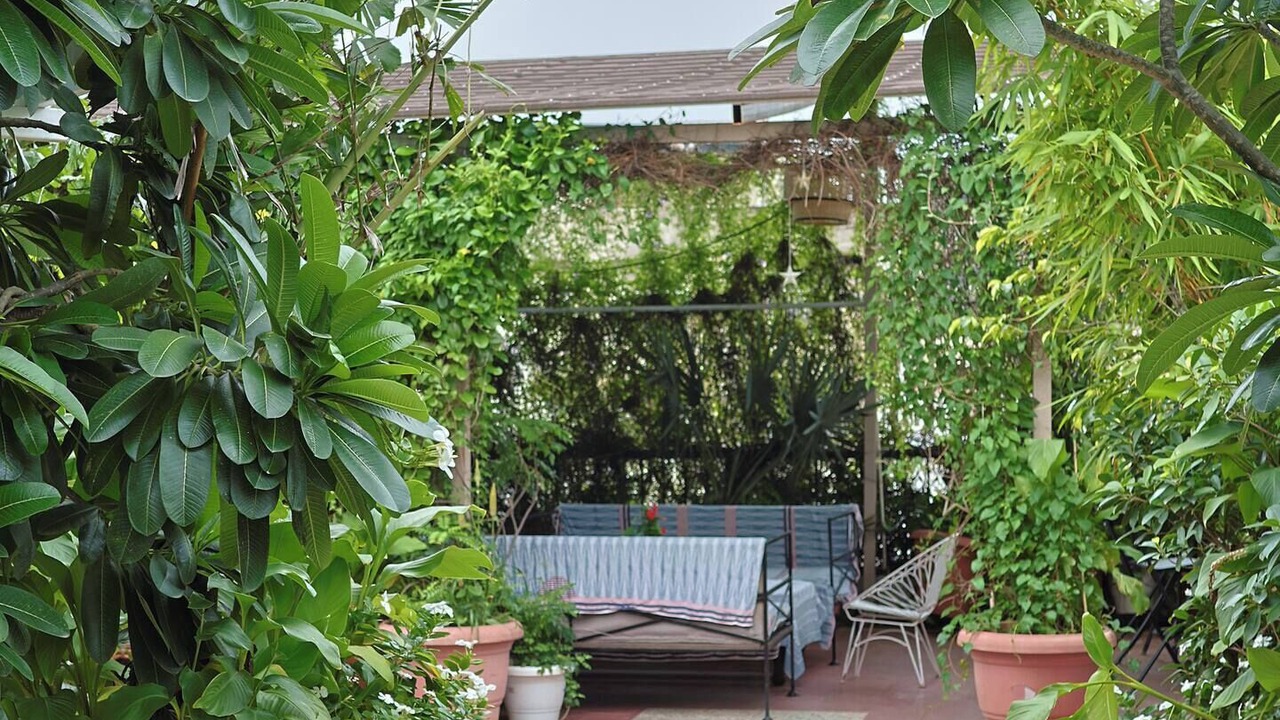 Photo of Patio Balcony in Jaipur