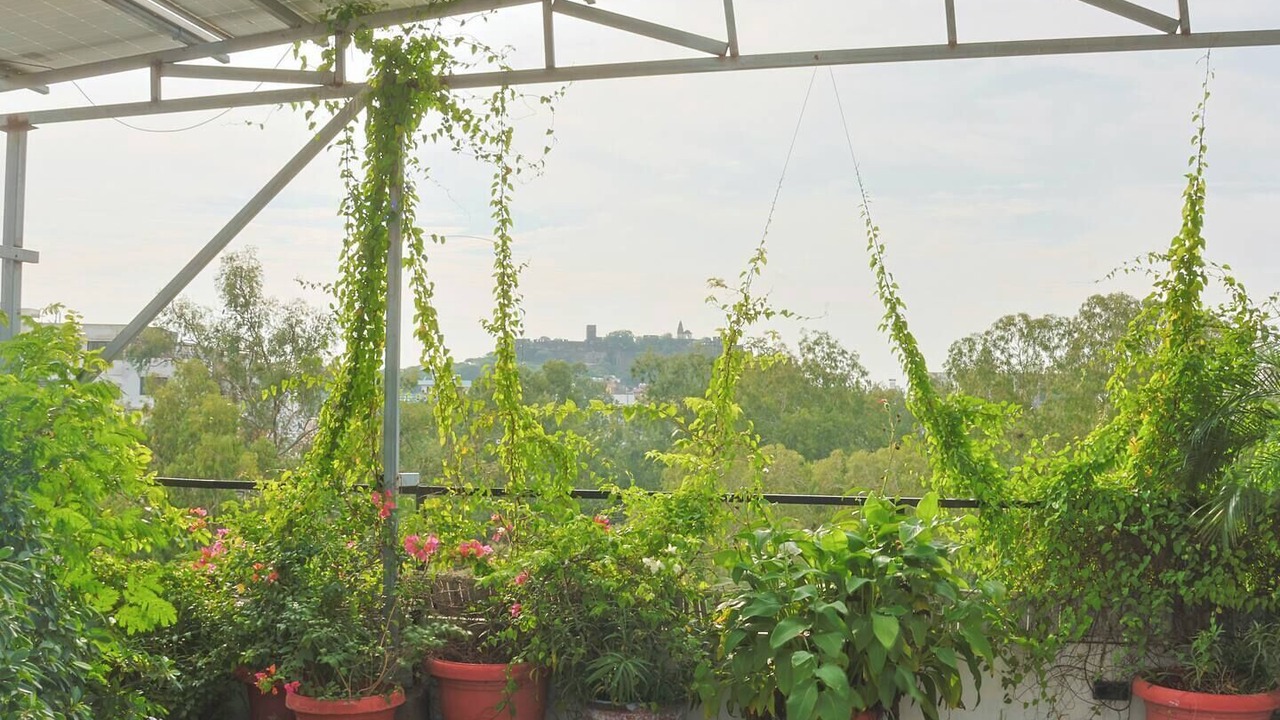 Photo of Outdoor in Jaipur
