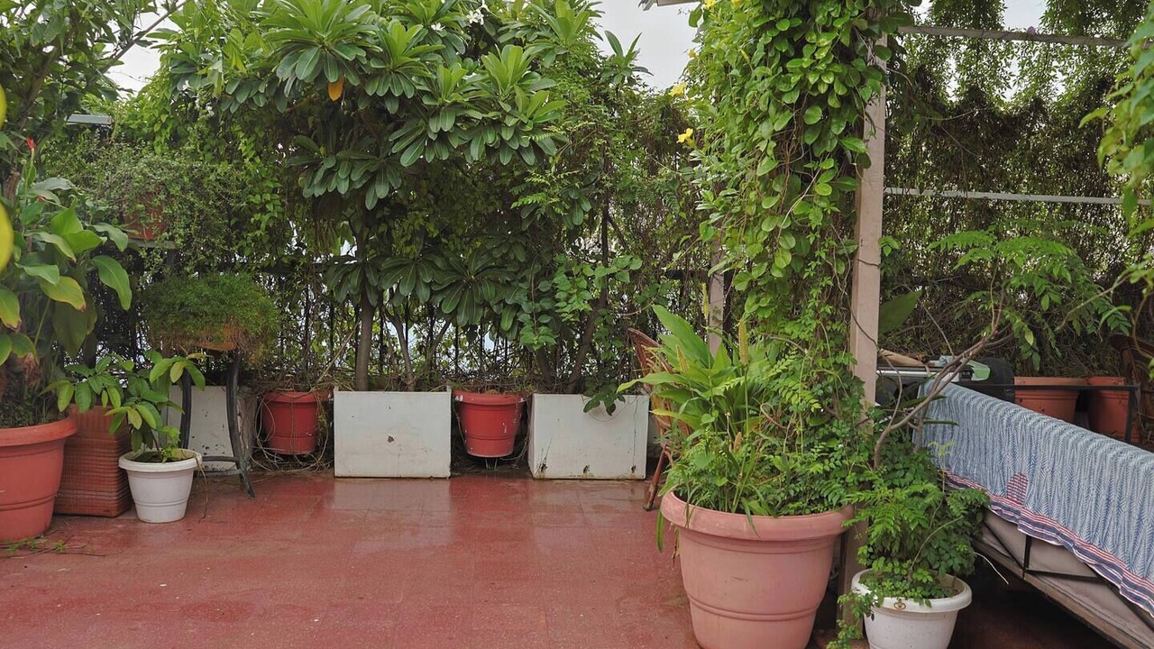 Photo of Outdoor in Jaipur