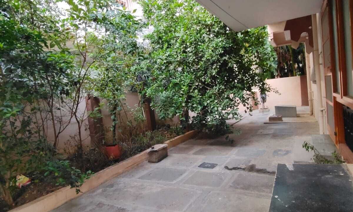 Photo of Outdoor in Guntur