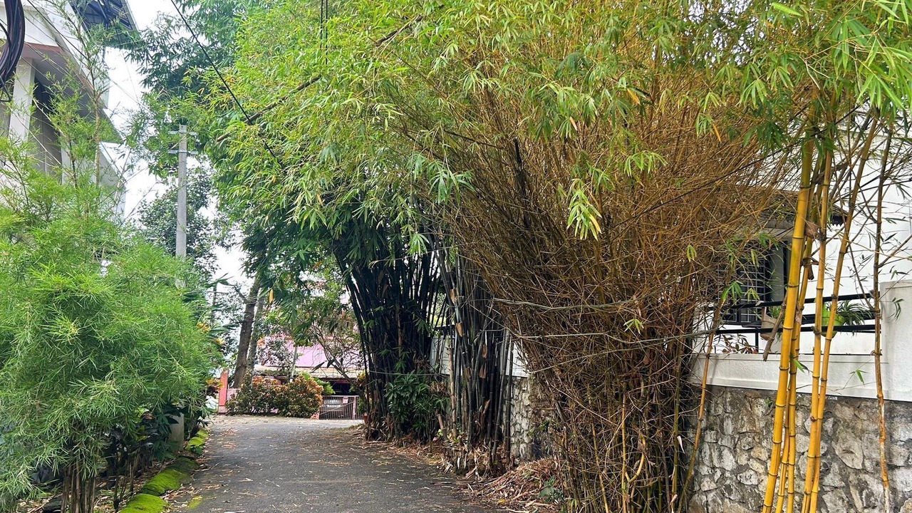 Photo of Outdoor in University of Kerala Senate House Campus