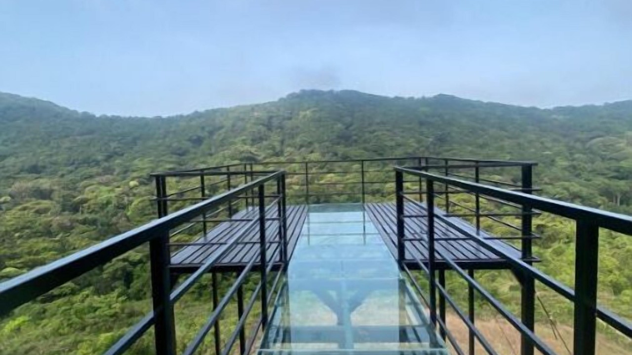 Photo of Outdoor in Stuart Hill