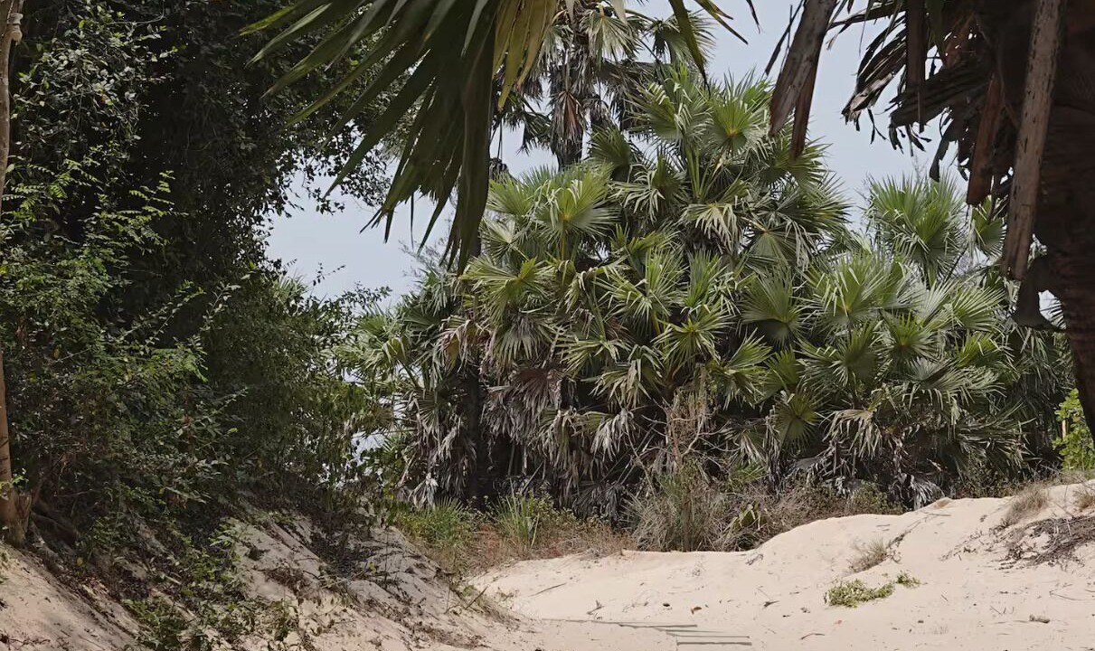 Photo of Outdoor in Varca
