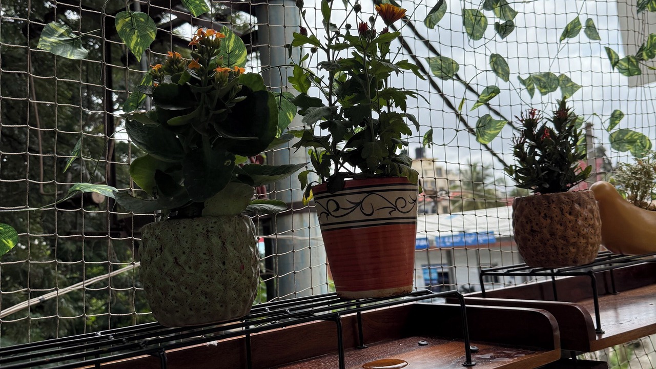 Photo of Outdoor in Vijaya Bank Layout