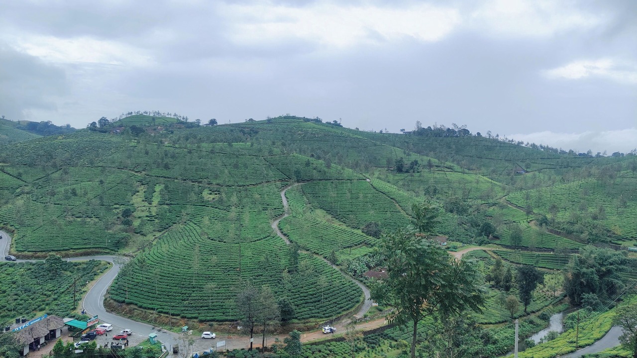 Photo of Others in Elappara