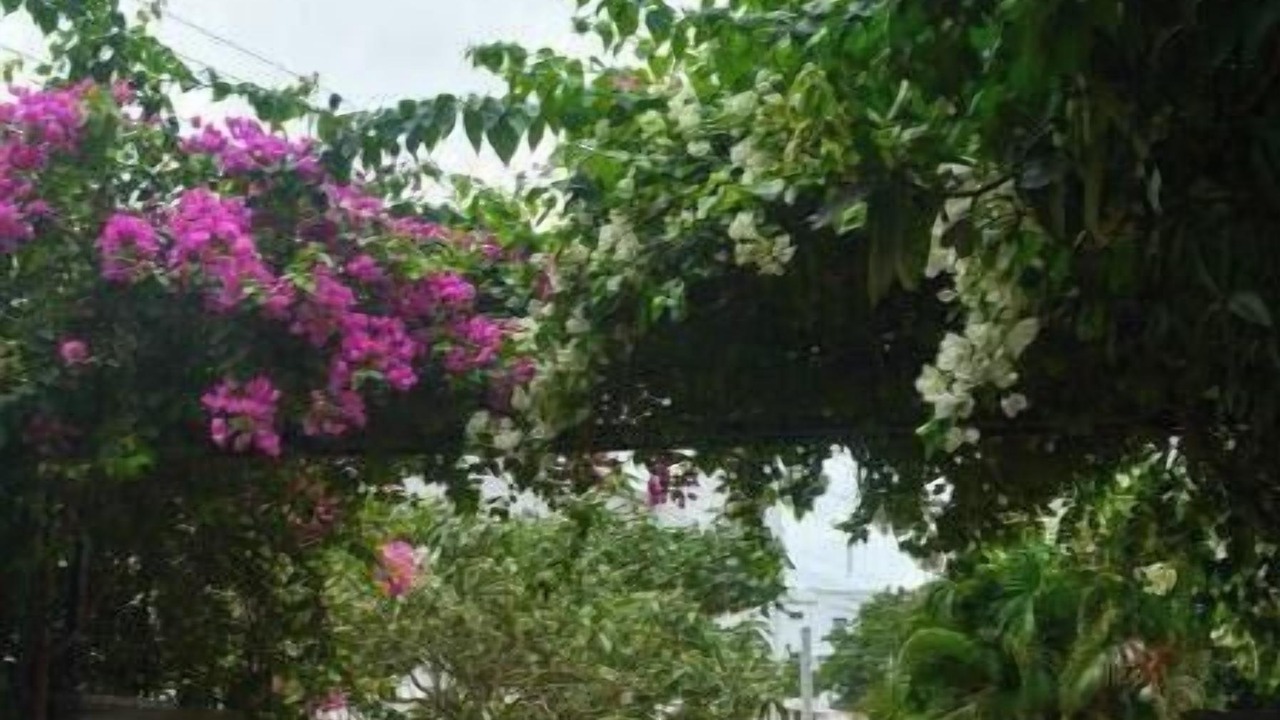 Photo of Outdoor in Moinabad