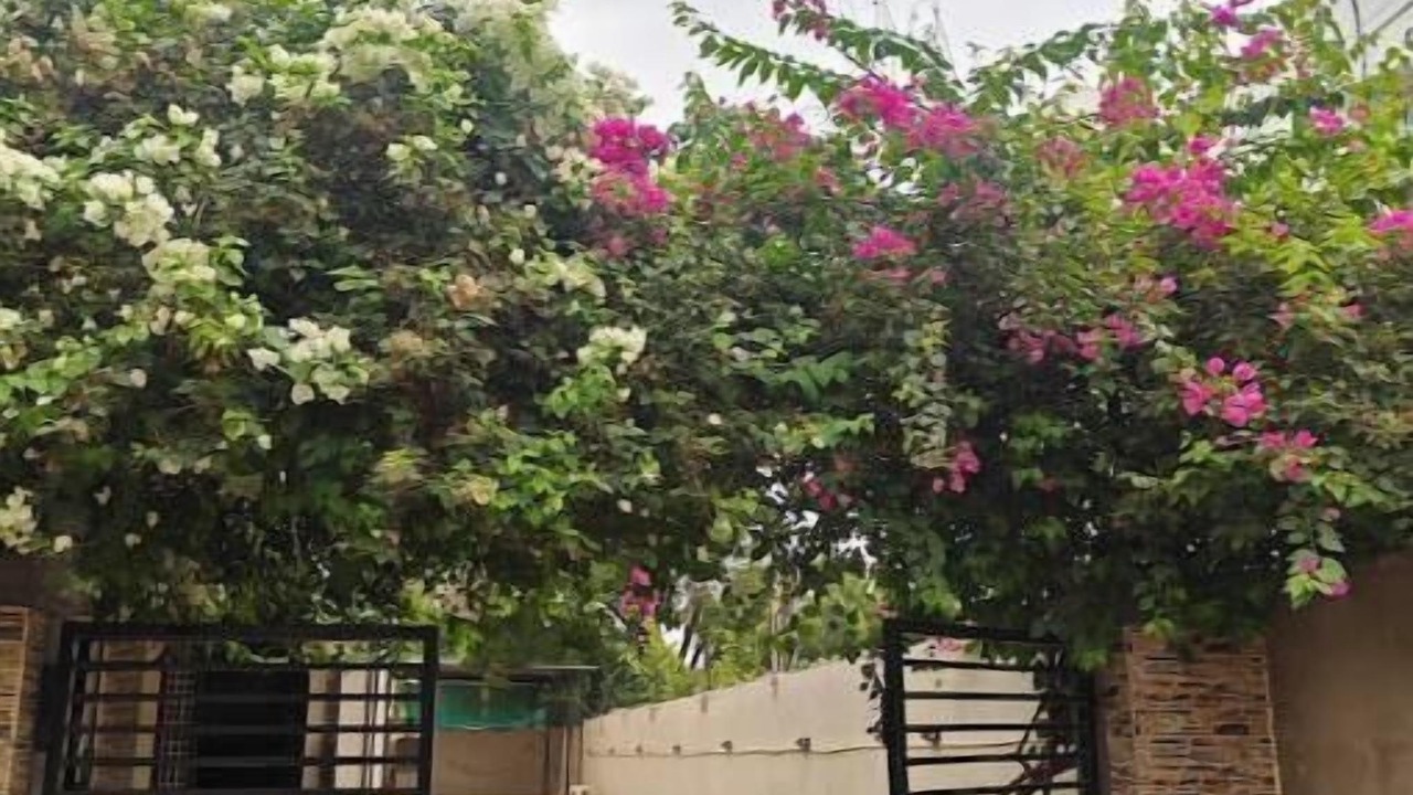 Photo of Outdoor in Moinabad