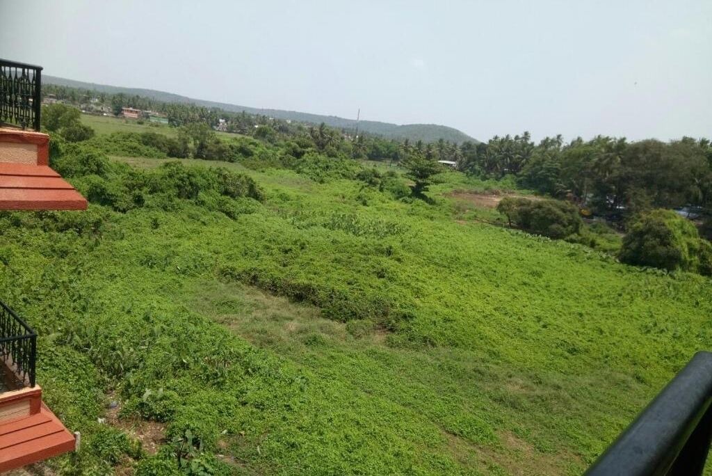 Photo of Others in Calangute