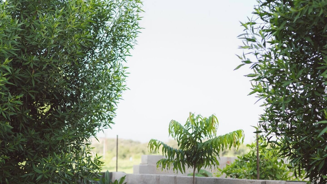 Photo of Outdoor in Bali