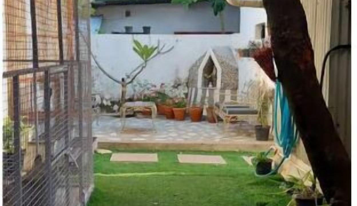 Photo of Outdoor in Kochi