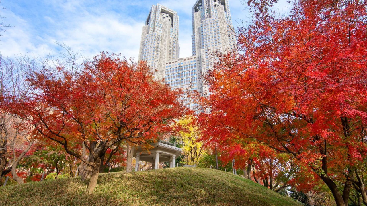 Photo of Outdoor in Nishi-Shinjuku