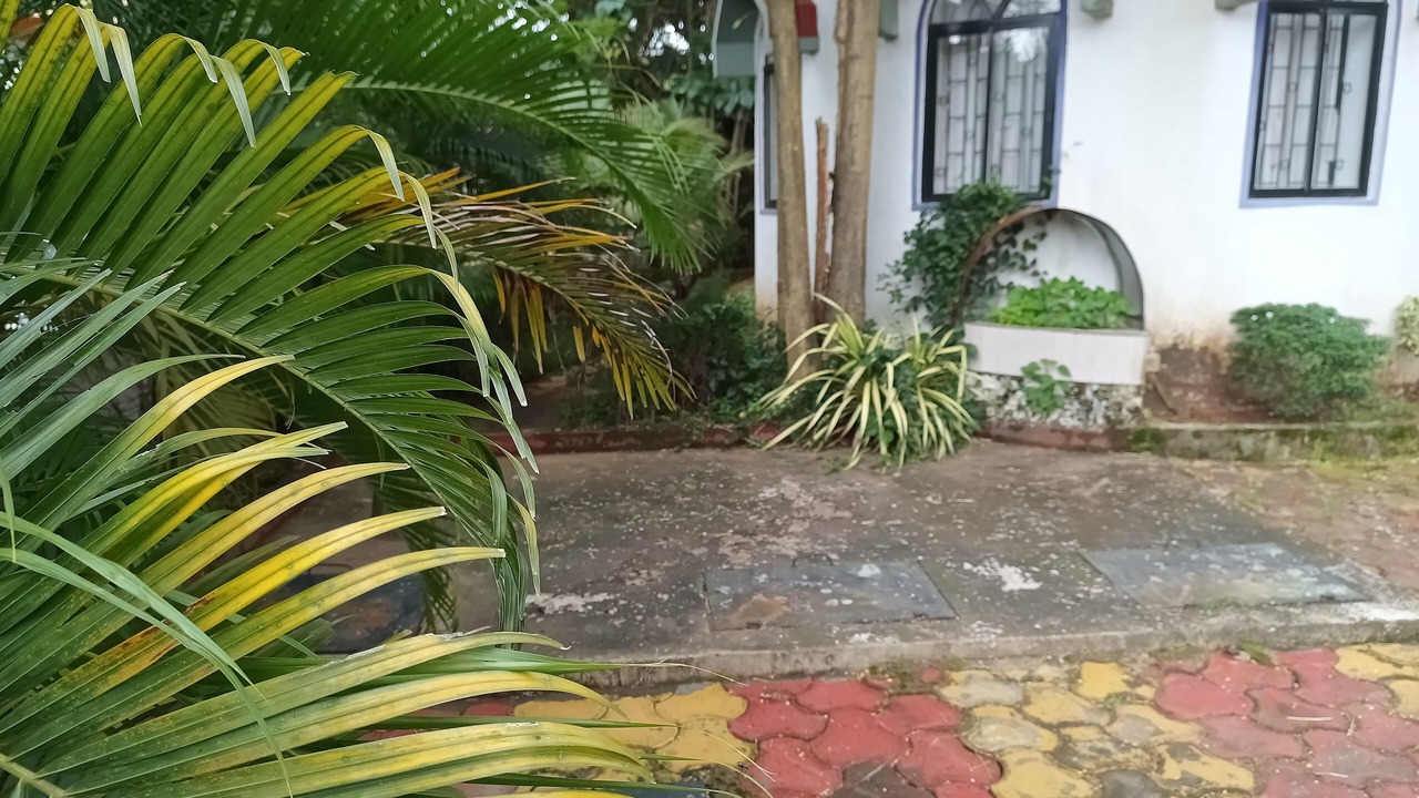 Photo of Outdoor in Betalbatim