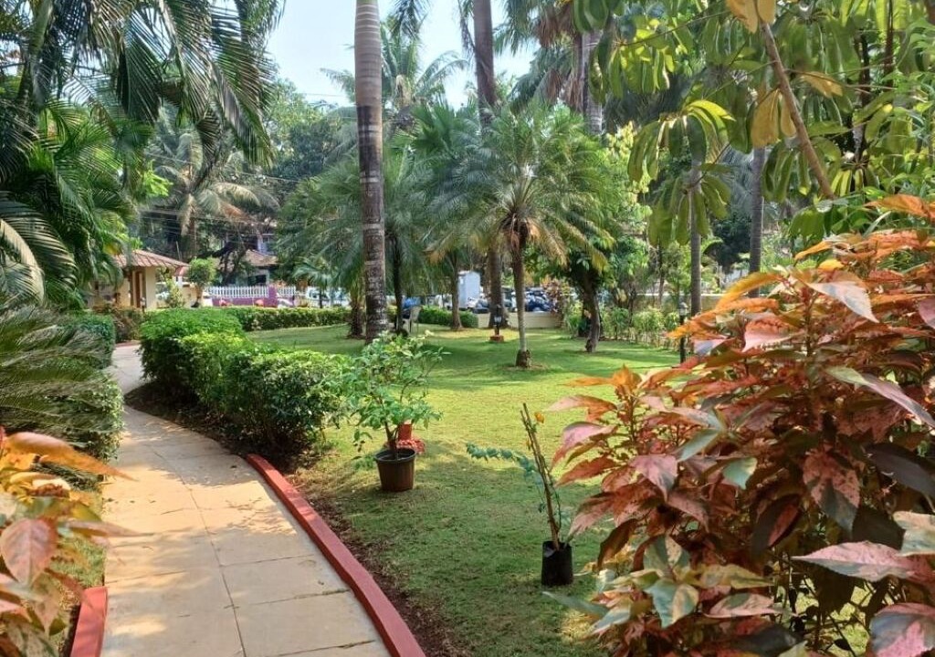 Photo of Outdoor in Kudal