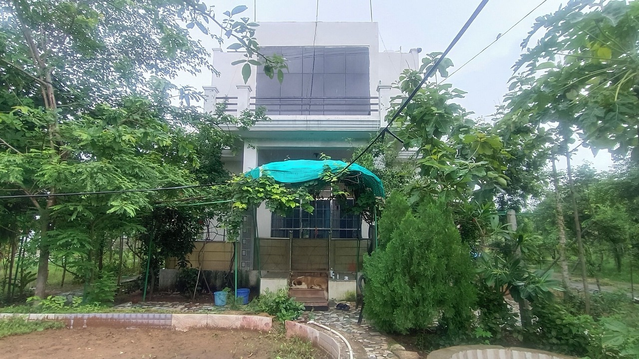 Photo of Outdoor in Shri Madhopur