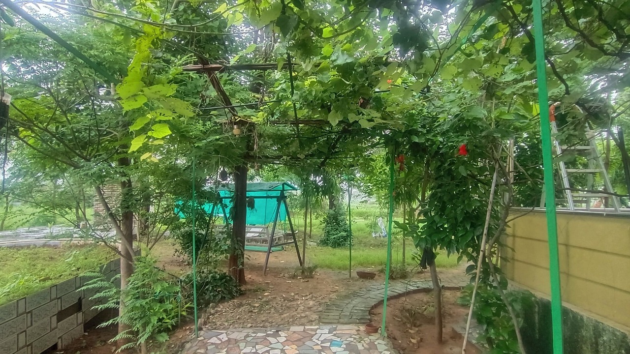 Photo of Outdoor in Shri Madhopur