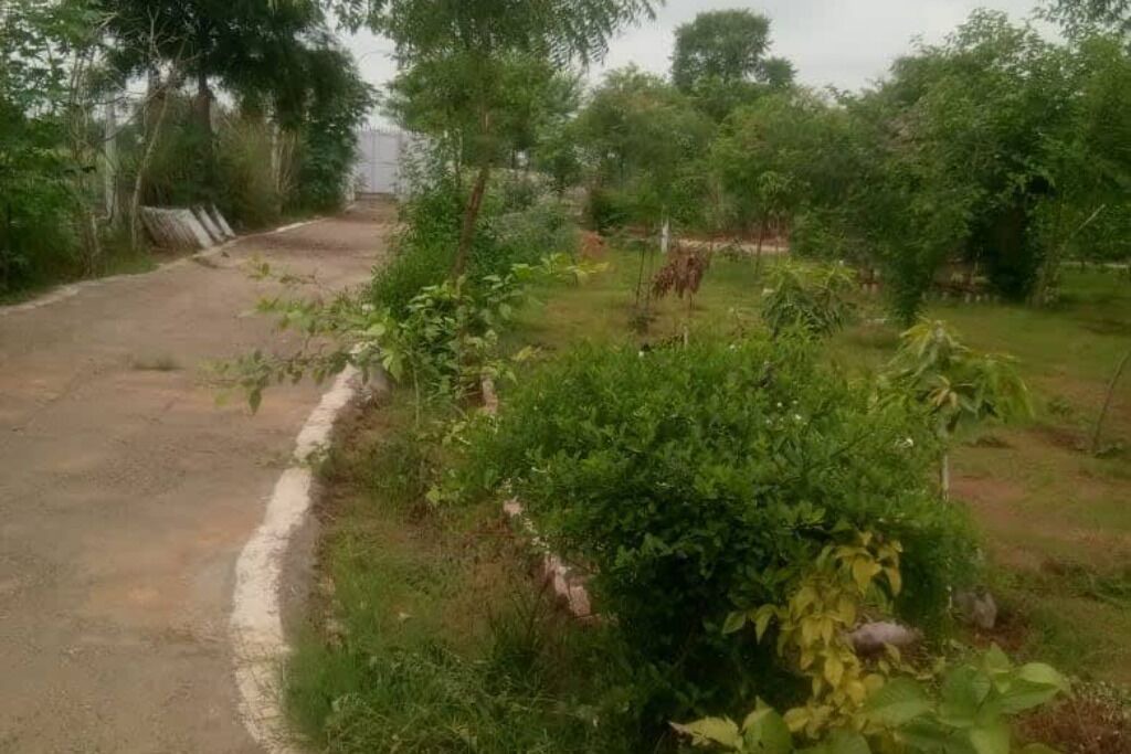 Photo of Outdoor in Shri Madhopur