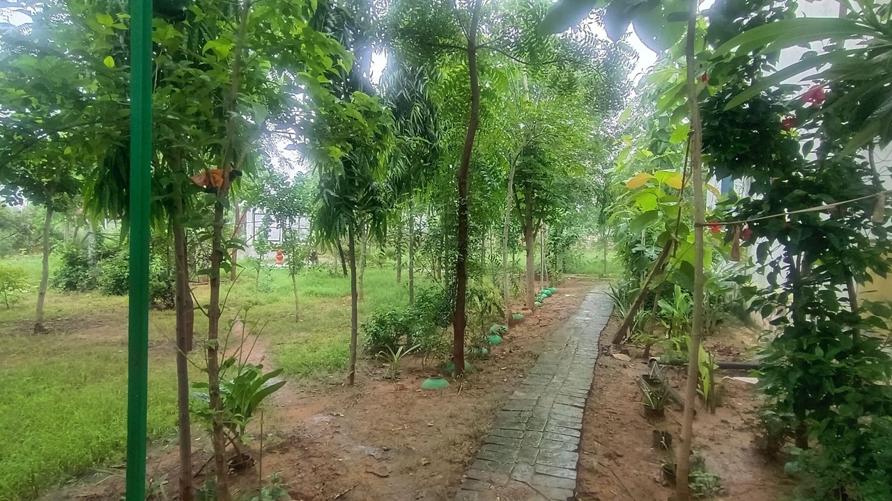 Photo of Outdoor in Shri Madhopur