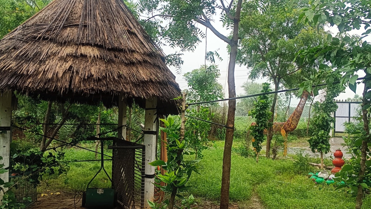 Photo of Outdoor in Shri Madhopur