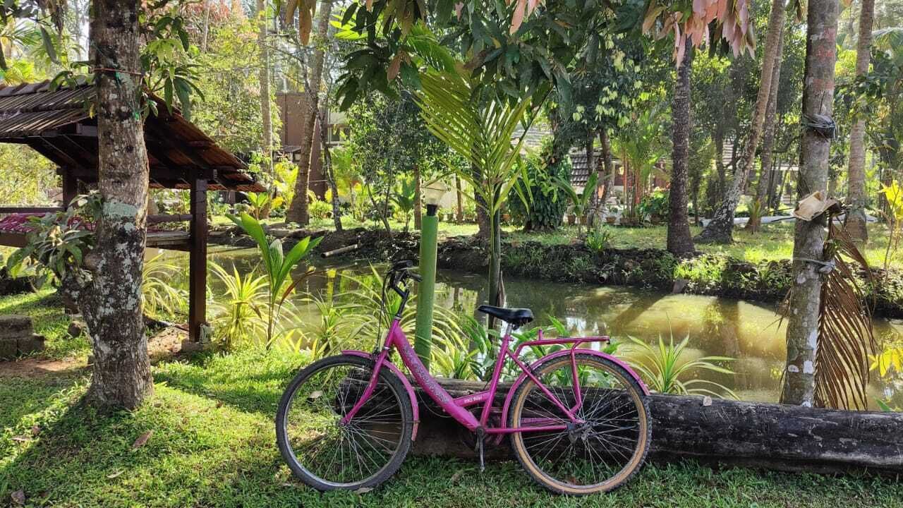 Photo of Outdoor in Vaikom