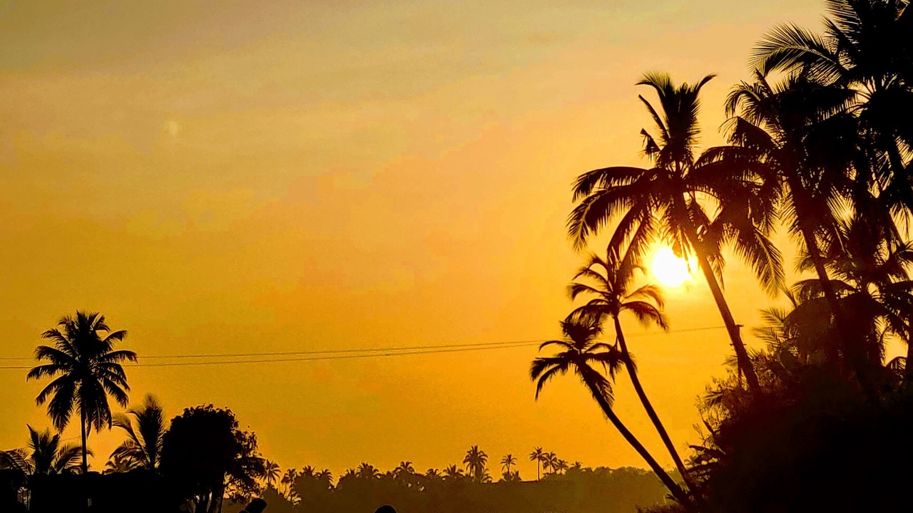 Photo of Outdoor in Vaikom