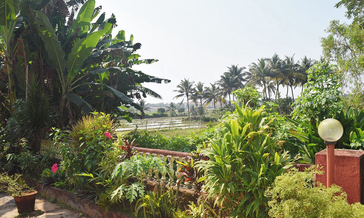 Photo of Outdoor in Benaulim
