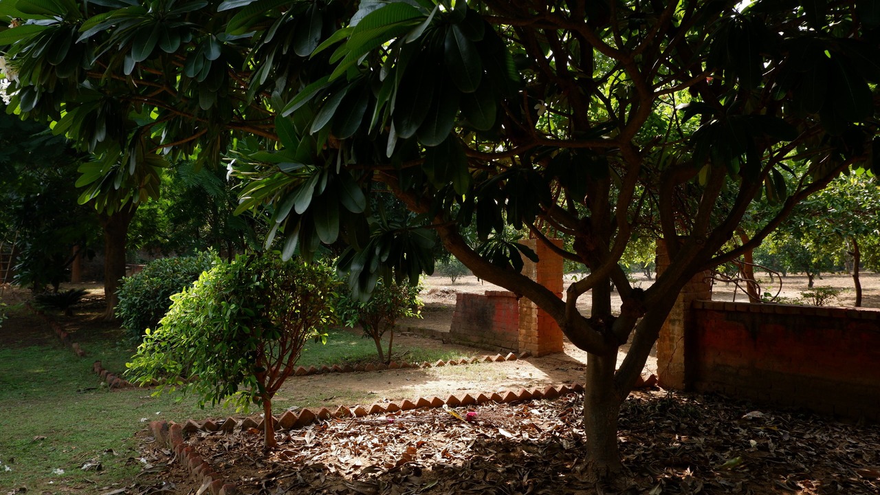 Photo of Outdoor in DLF City