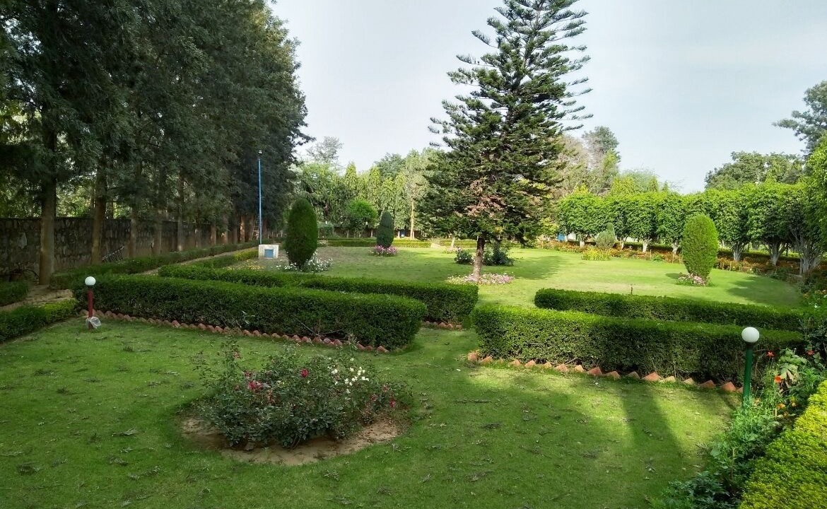 Photo of Outdoor in DLF City