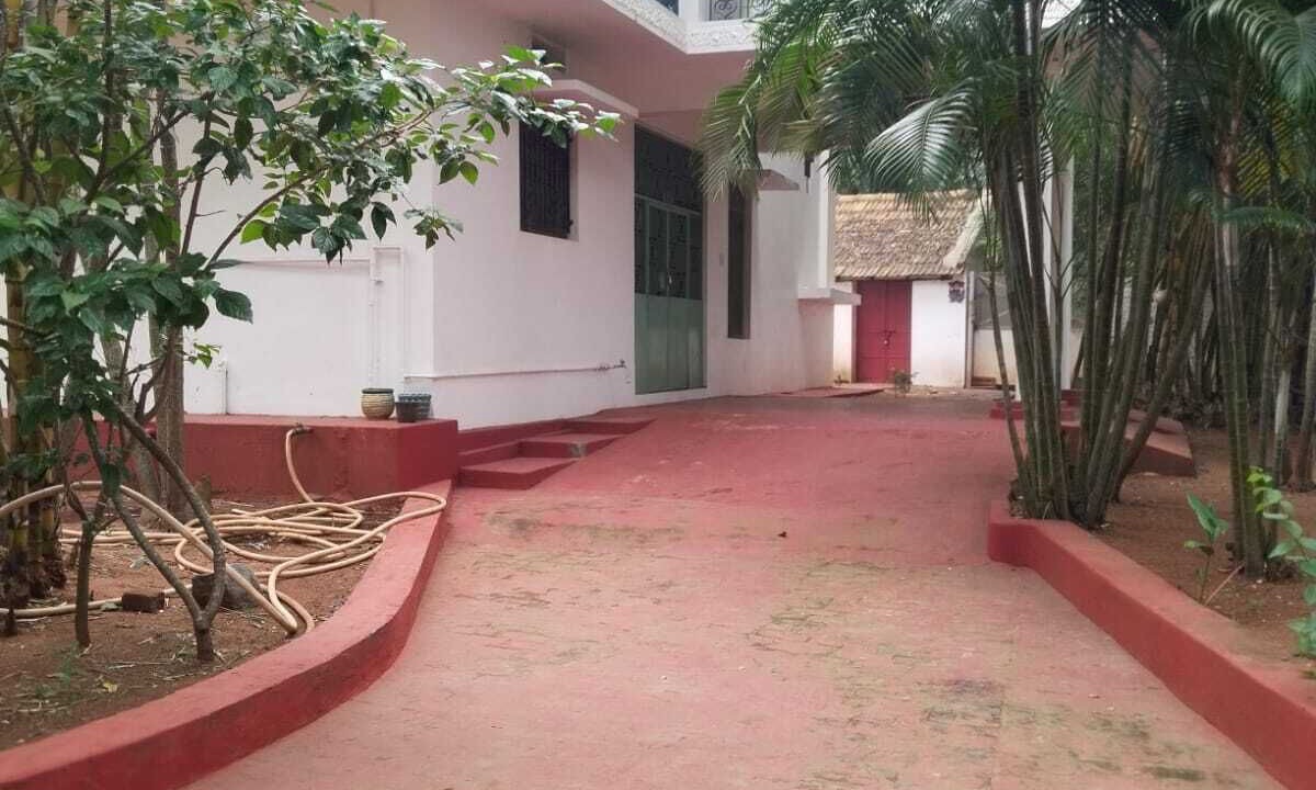 Photo of Outdoor in Auroville
