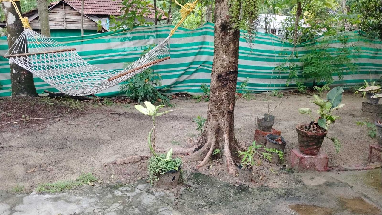 Photo of Outdoor in Mararikulam