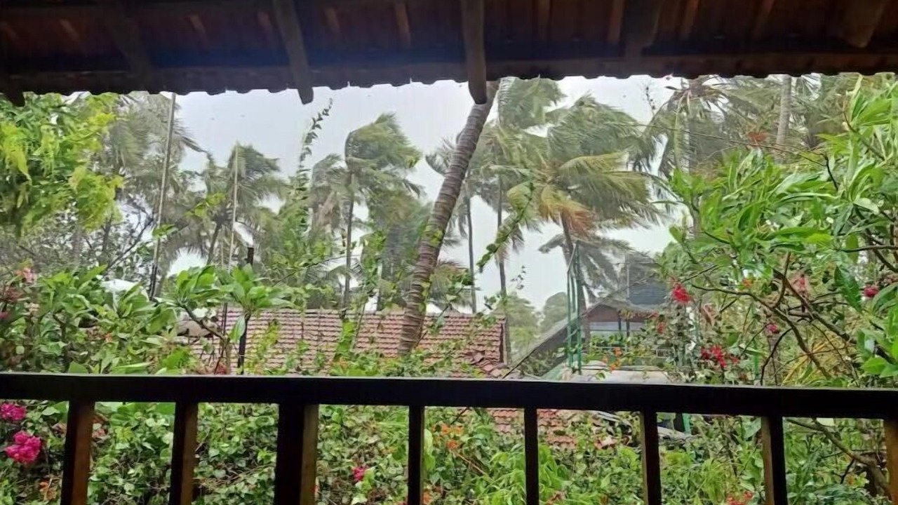 Photo of Outdoor in Anjuna