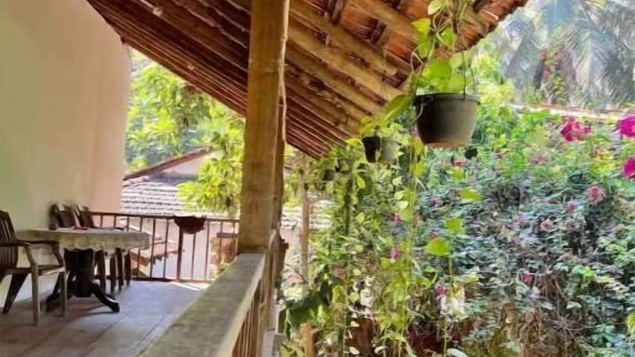 Photo of Outdoor in Anjuna