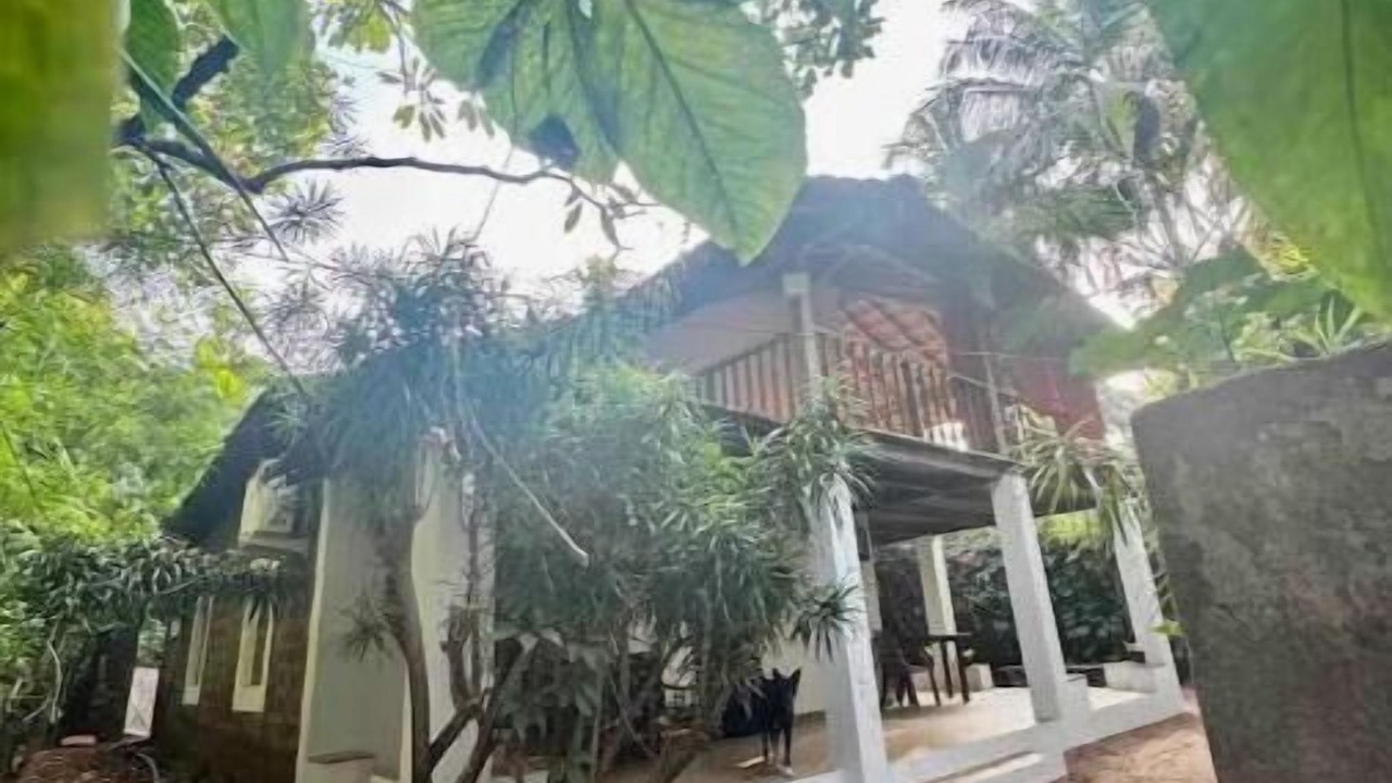 Photo of Outdoor in Anjuna