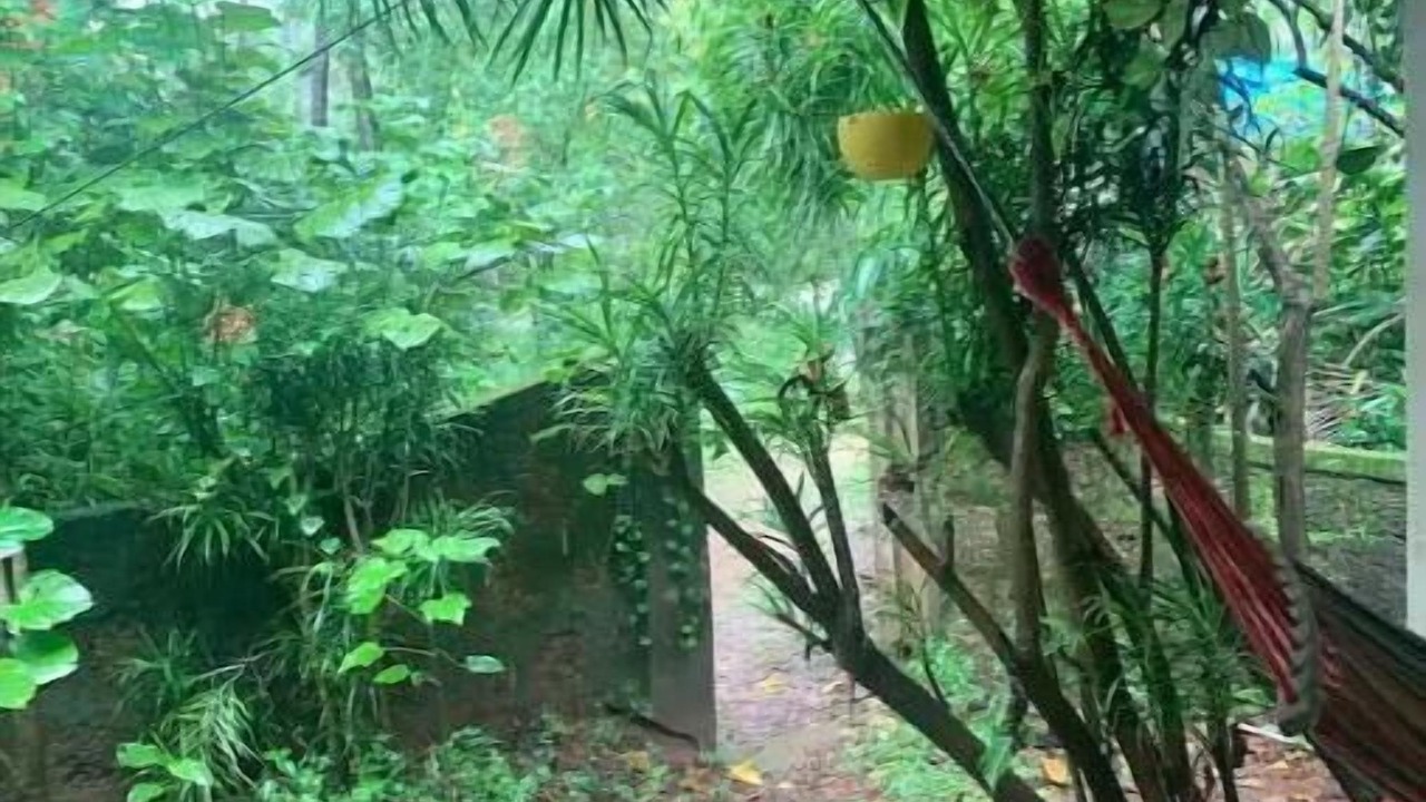 Photo of Outdoor in Anjuna