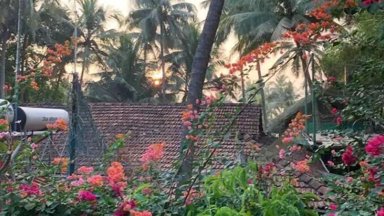 Photo of Outdoor in Anjuna