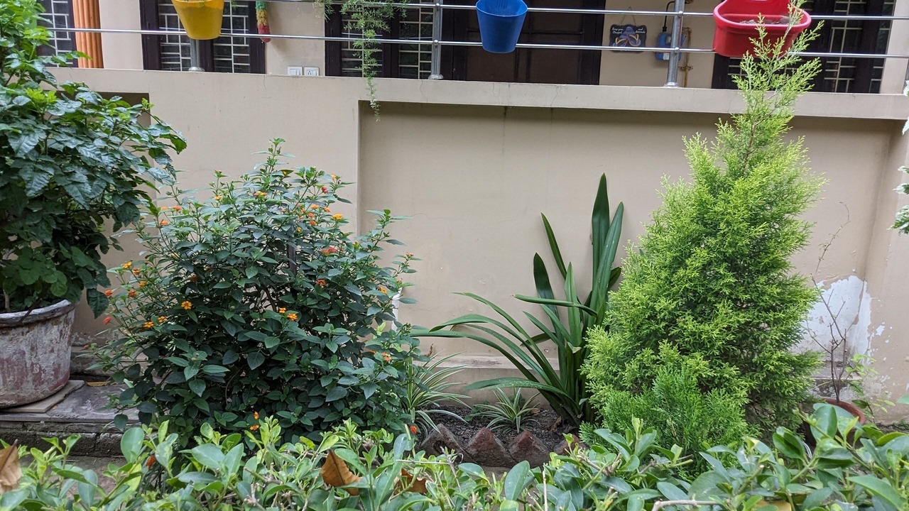 Photo of Outdoor in Noida