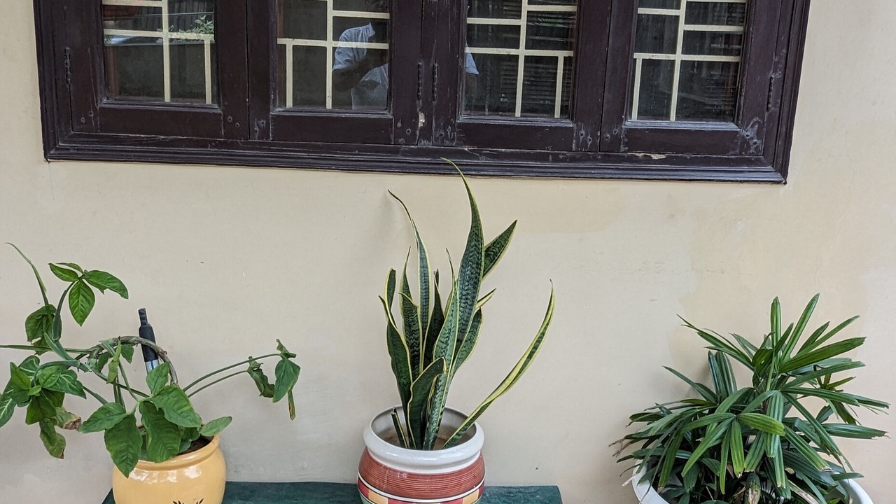 Photo of Outdoor in Noida