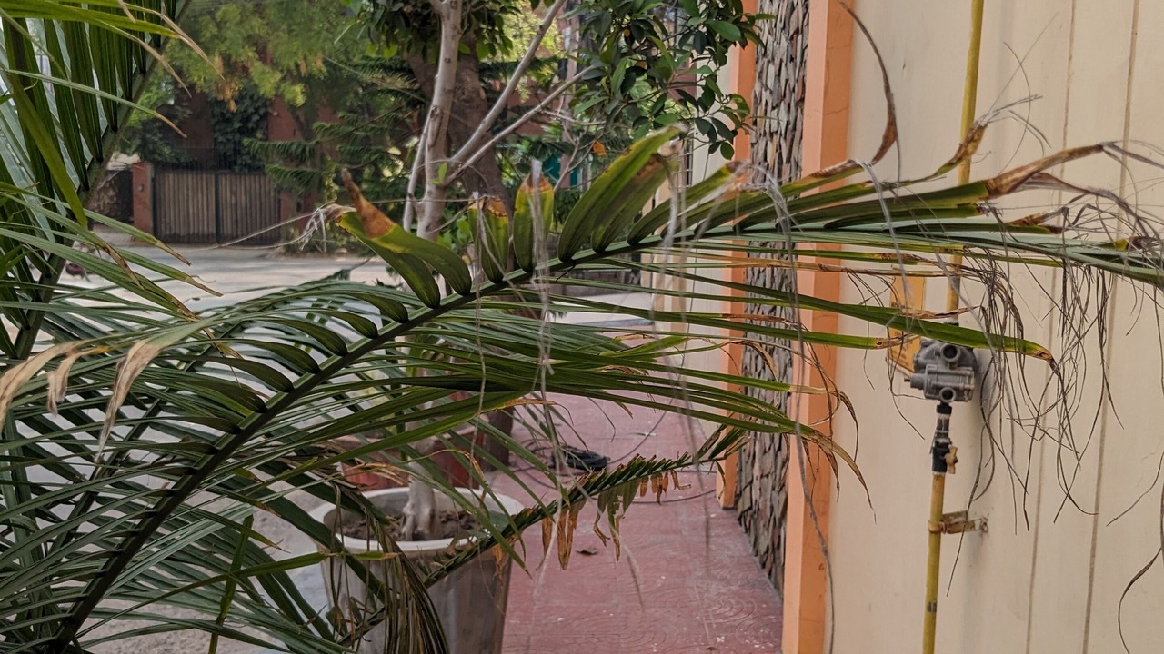 Photo of Outdoor in Noida