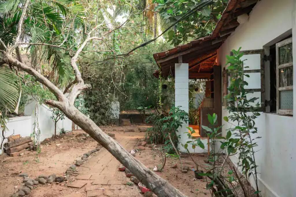 Photo of Outdoor in Anjuna