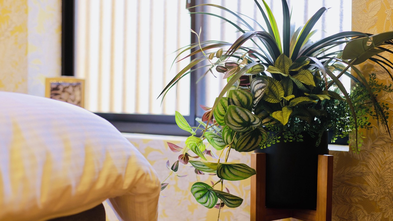 Photo of Bedroom in Nishinari
