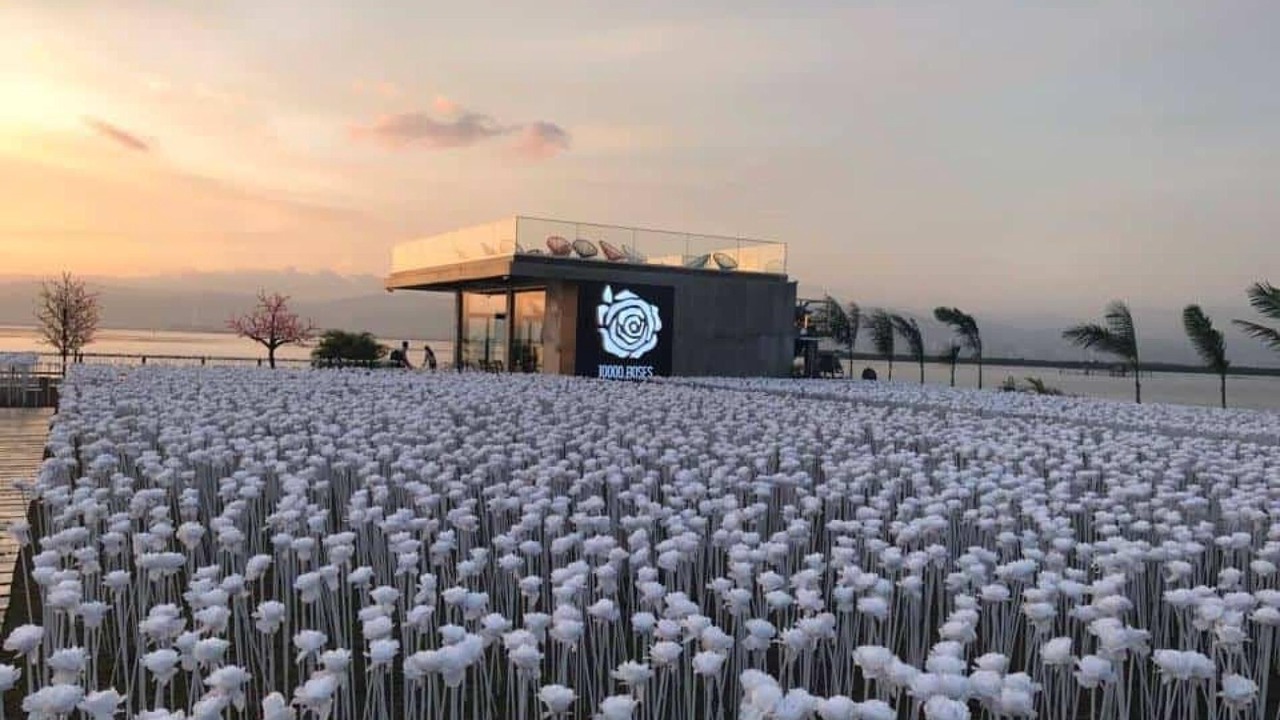 Photo of Others in Cebu