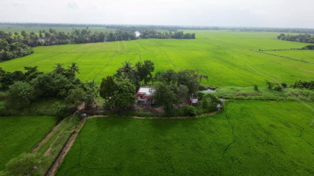 Photo of Outdoor in Alappuzha