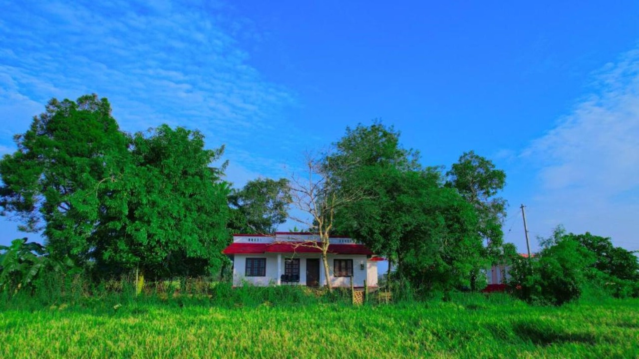 Photo of Outdoor in Alappuzha