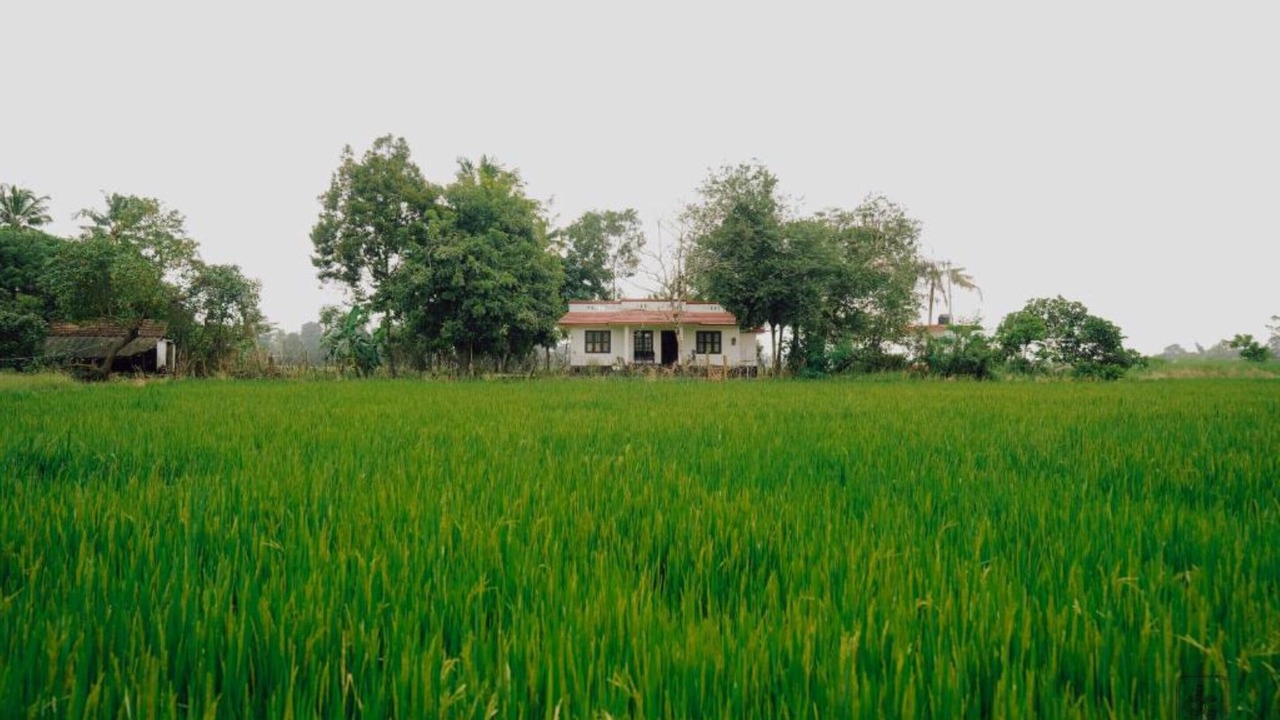 Photo of Outdoor in Alappuzha
