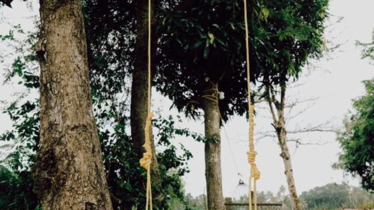 Photo of Outdoor in Alappuzha